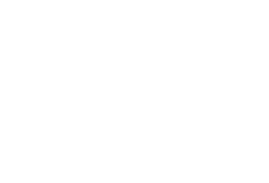 AUTO COMPUTER TRADING L.L.C